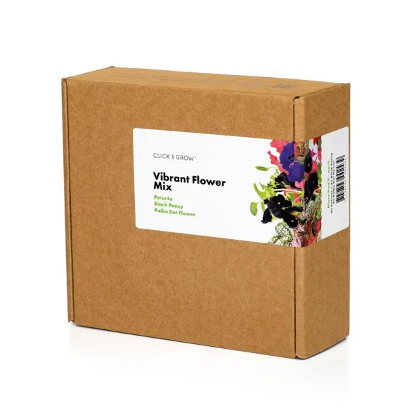 Click & grow PIANTA VIBRANT FLOWER