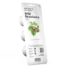 Click & grow PIANTA WILD STRAWBERRY