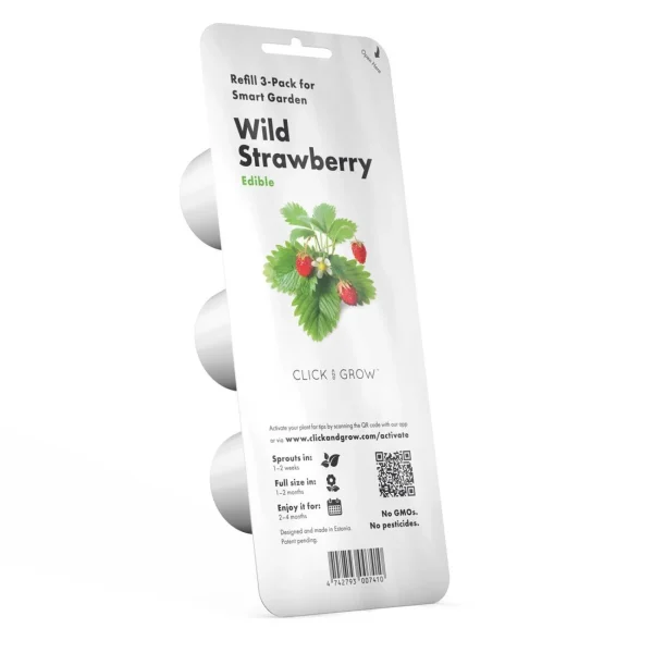 Click & grow PIANTA WILD STRAWBERRY